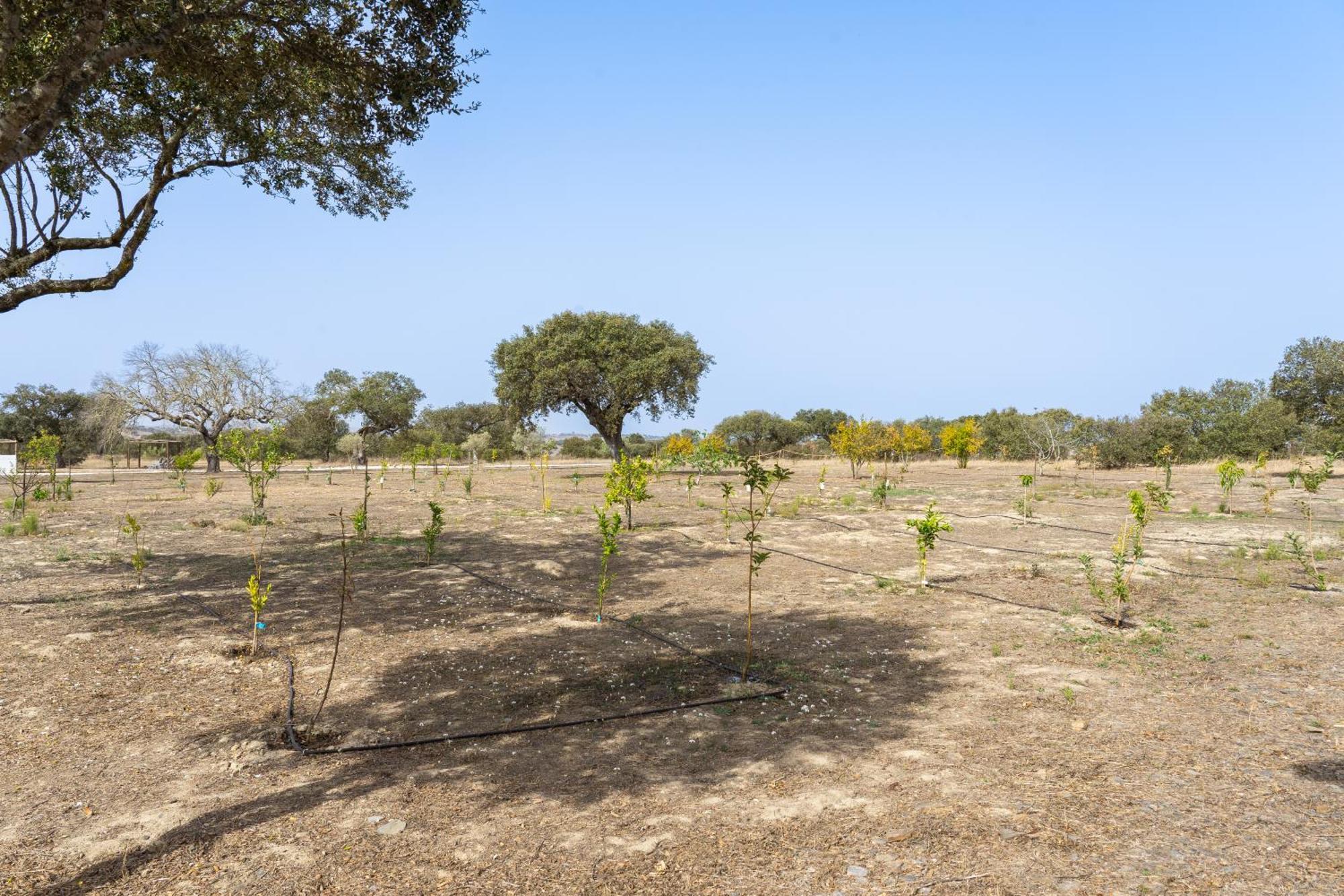 Change The World - Herdade Monte Do Peral Montes Juntos Bagian luar foto
