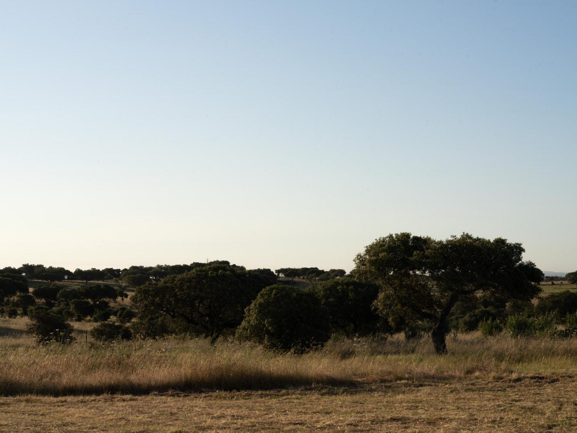 Change The World - Herdade Monte Do Peral Montes Juntos Bagian luar foto