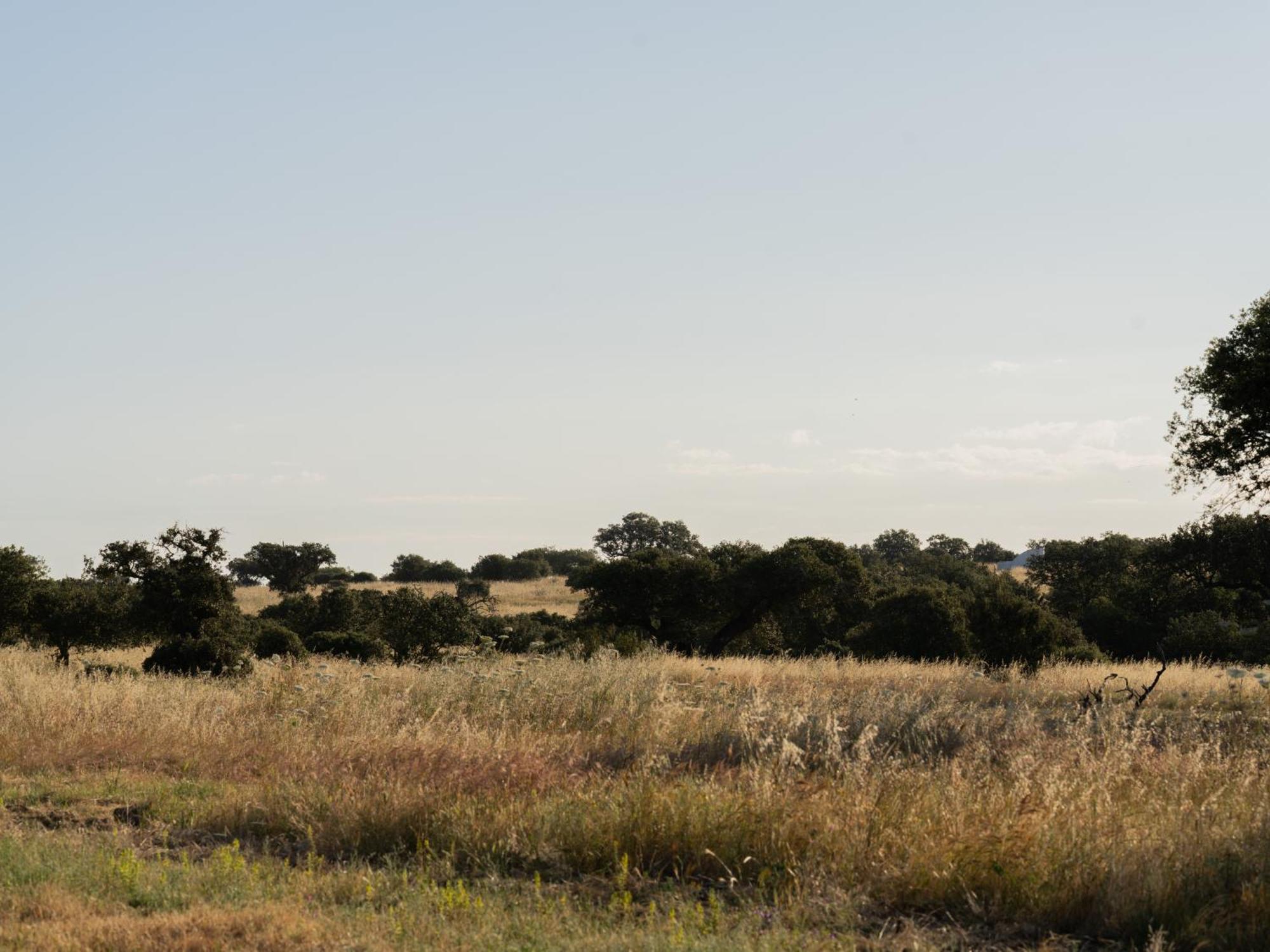 Change The World - Herdade Monte Do Peral Montes Juntos Bagian luar foto